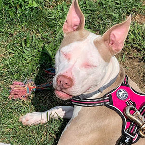 Meet your Posher, Nikki